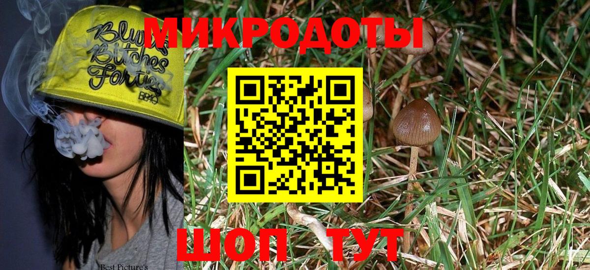 Псилоцибиновые грибы Psilocybe Тавда