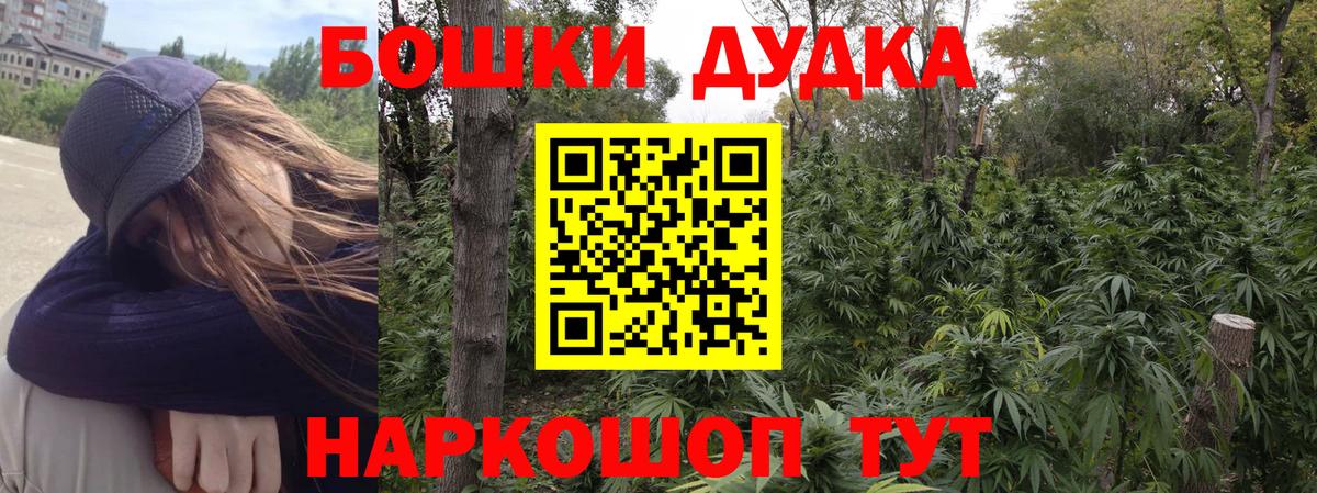 Каннабис индика Тавда